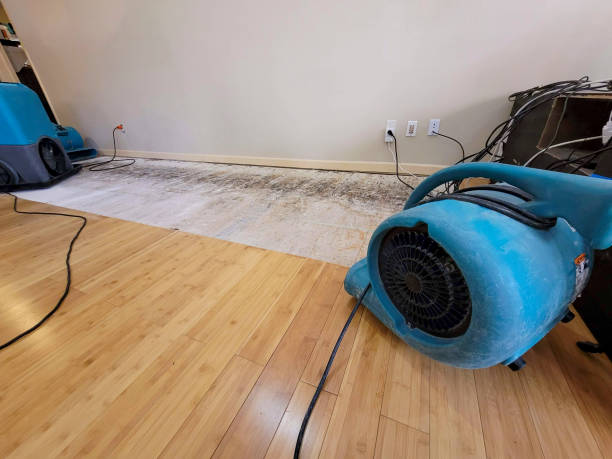 Professional Water Damage Repair technician working in Whitt, TX
